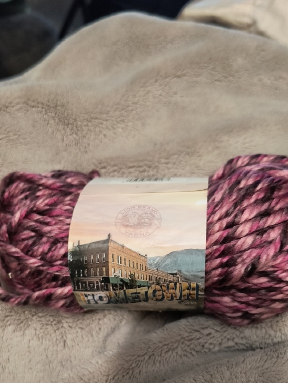 Hometown Chunky Yarn - Pink & Magenta Blend
